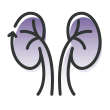 Two kidneys with the text chronic kidney disease below