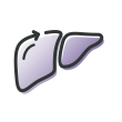 Liver with the text chronic liver disease below