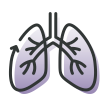 Lungs with the text serious lung conditions e.g., cystic fibrosis below